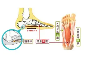 大坂直美携手姚迪战意甲后续来了(堀内秋美在老板娘2中的角色)